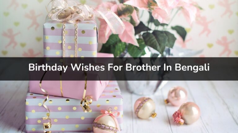 Birthday Wishes For Brother In Bengali - ভাইয়ের জন্য জন্মদিনের শুভেচ্ছা