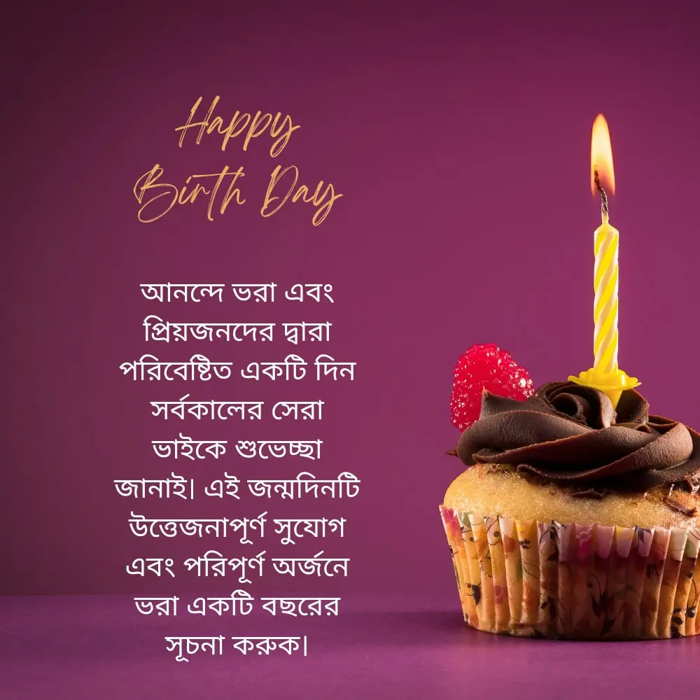 Happy birthday wishes for brother – ভাইয়ের জন্য শুভ জন্মদিনের শুভেচ্ছা